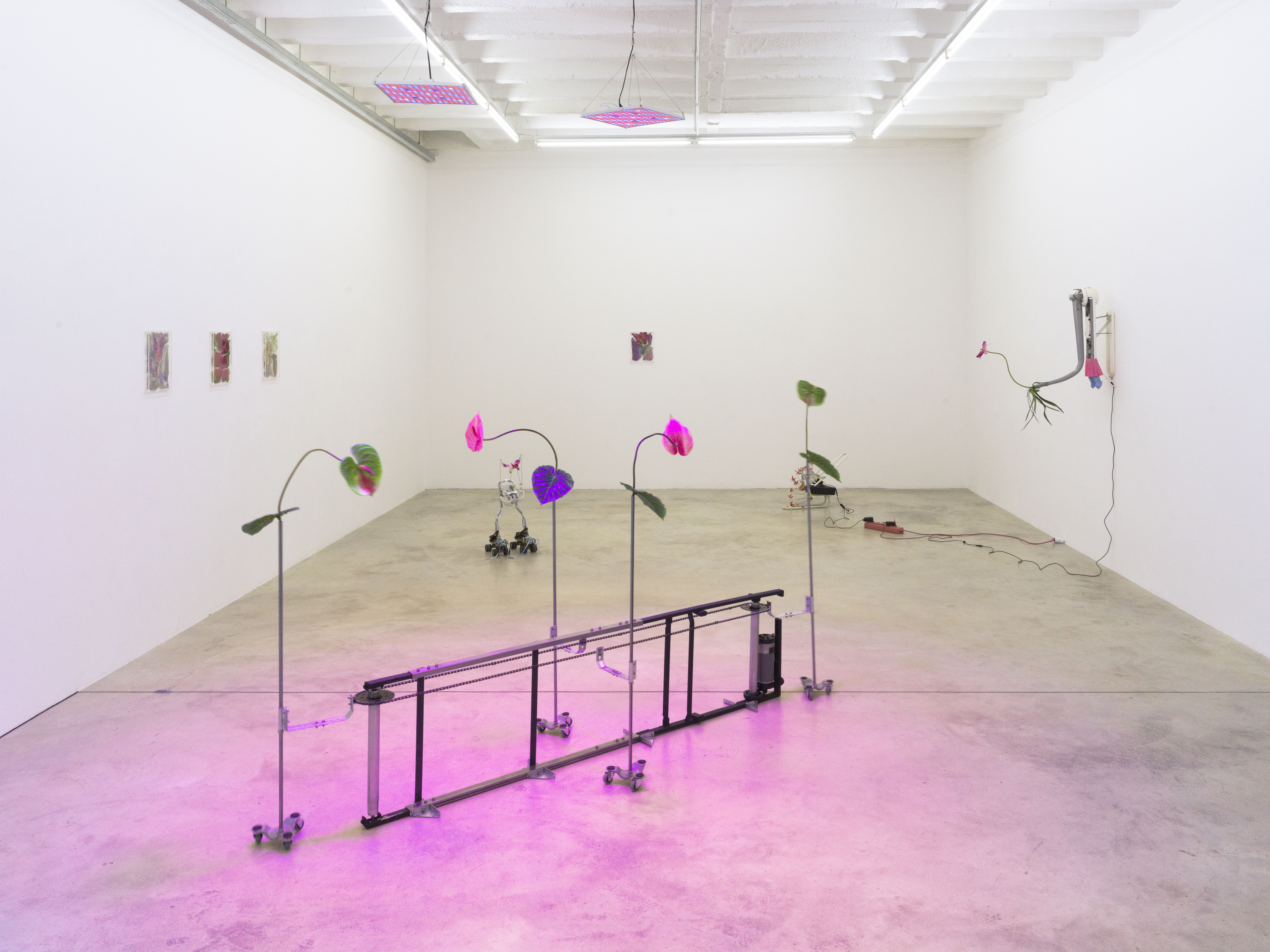 Copy of Soy Capitan Rachel Youn B0192171