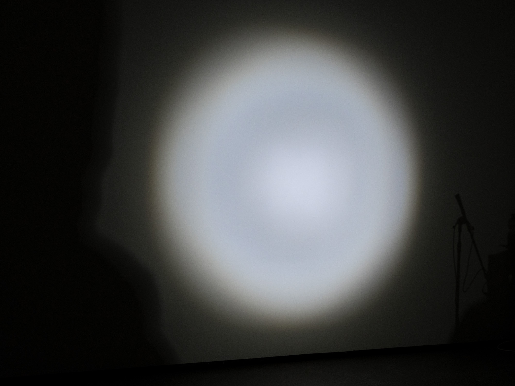 DSC0184