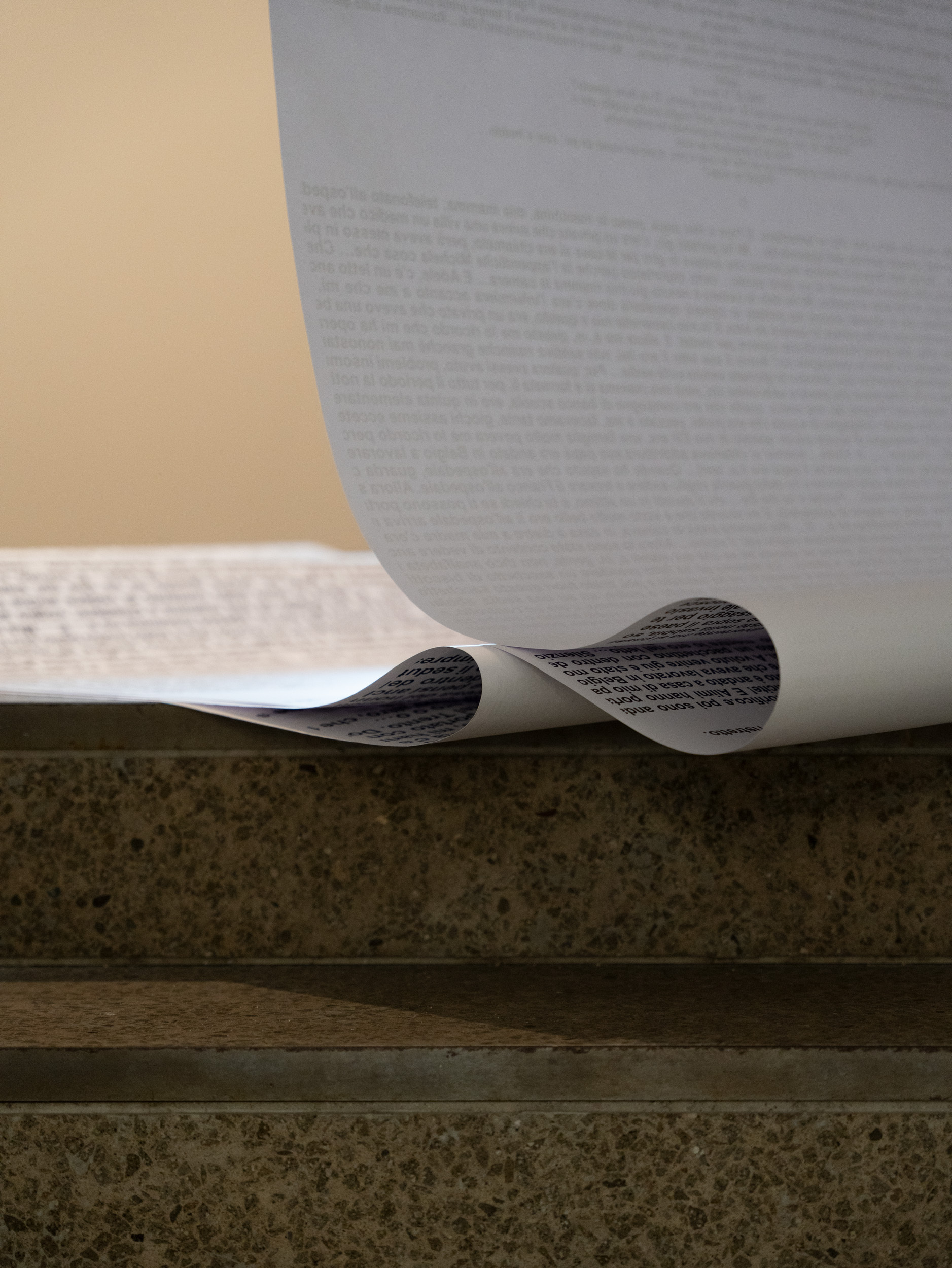 Jacopo Giacomoni, E' solo un lungo tramonto, Il Fantasma di Pepper, Day 2, a cura di Edoardo Lazzari, Scuola Piccola Zattere, 2025. Ph. Giacomo Bianco