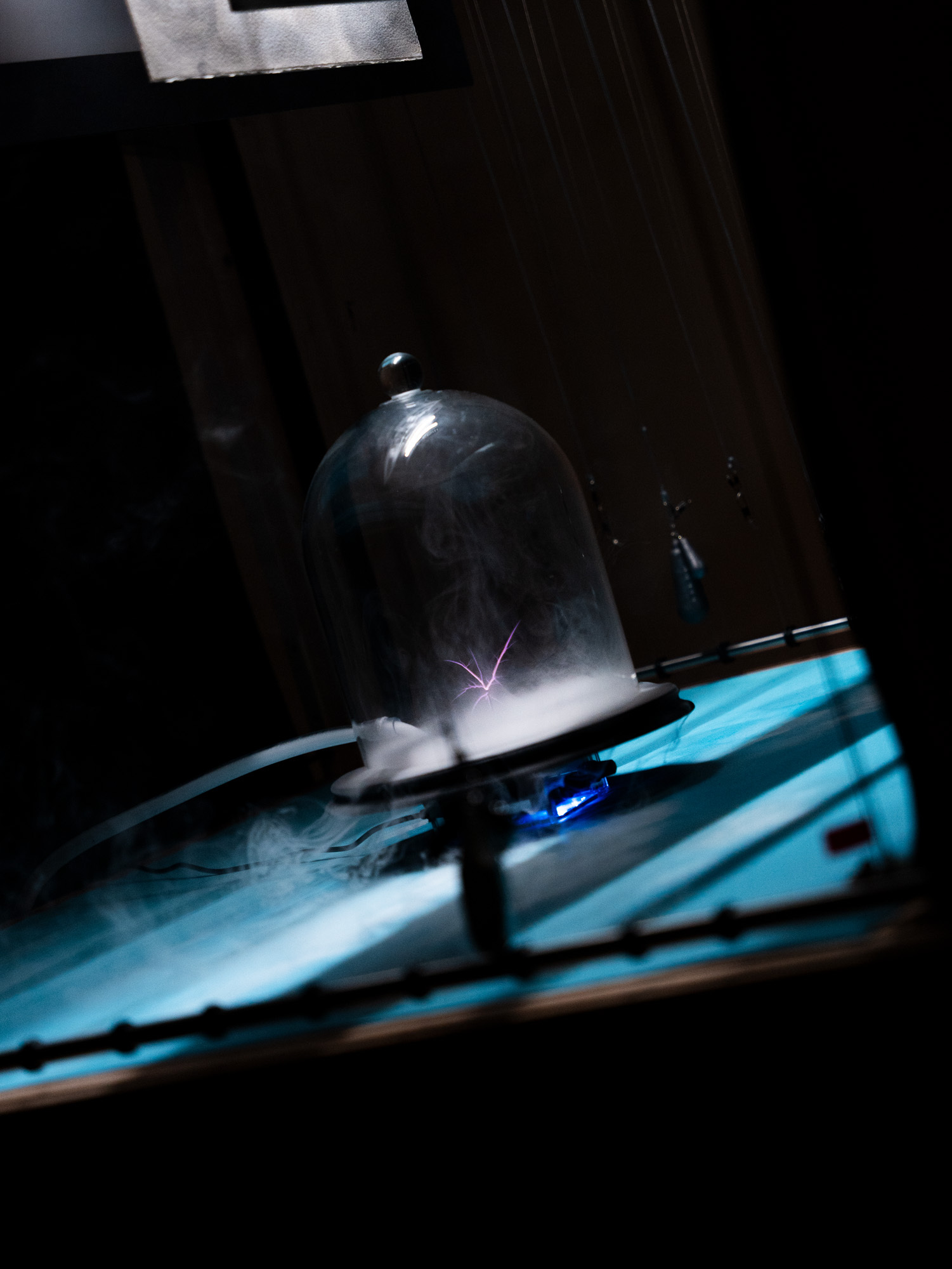 DSC2463