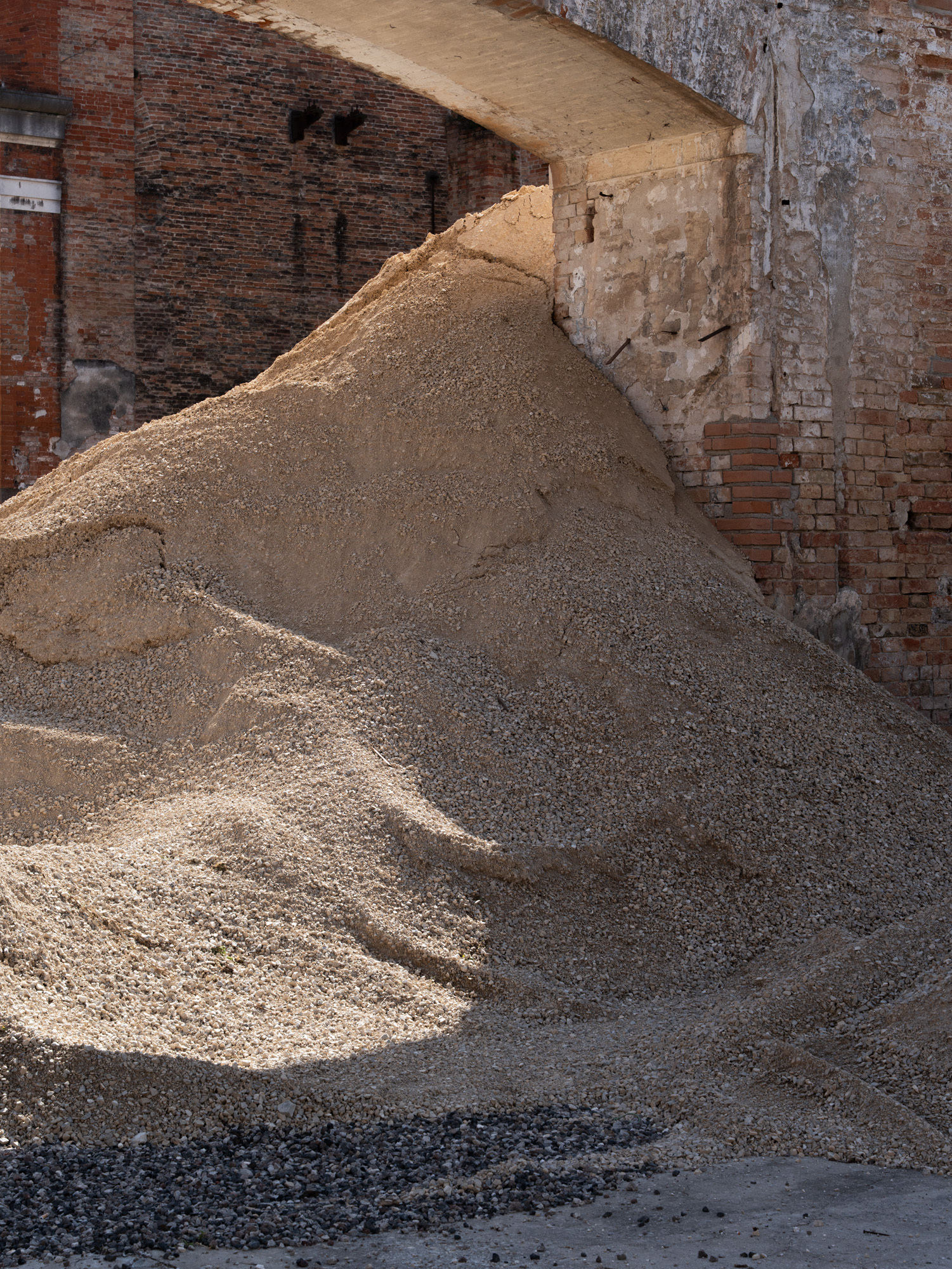 DSC2515