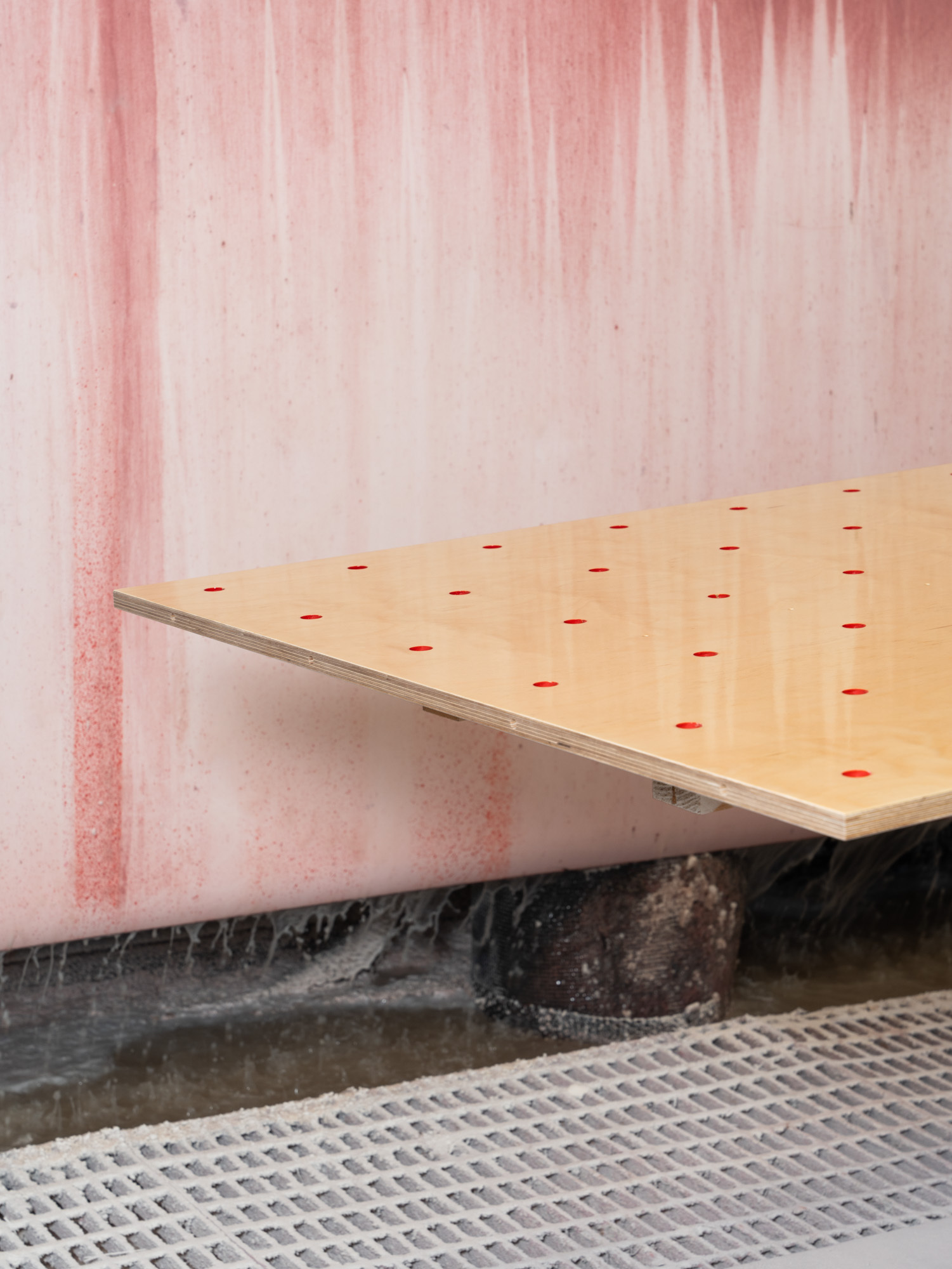 F DSC2207