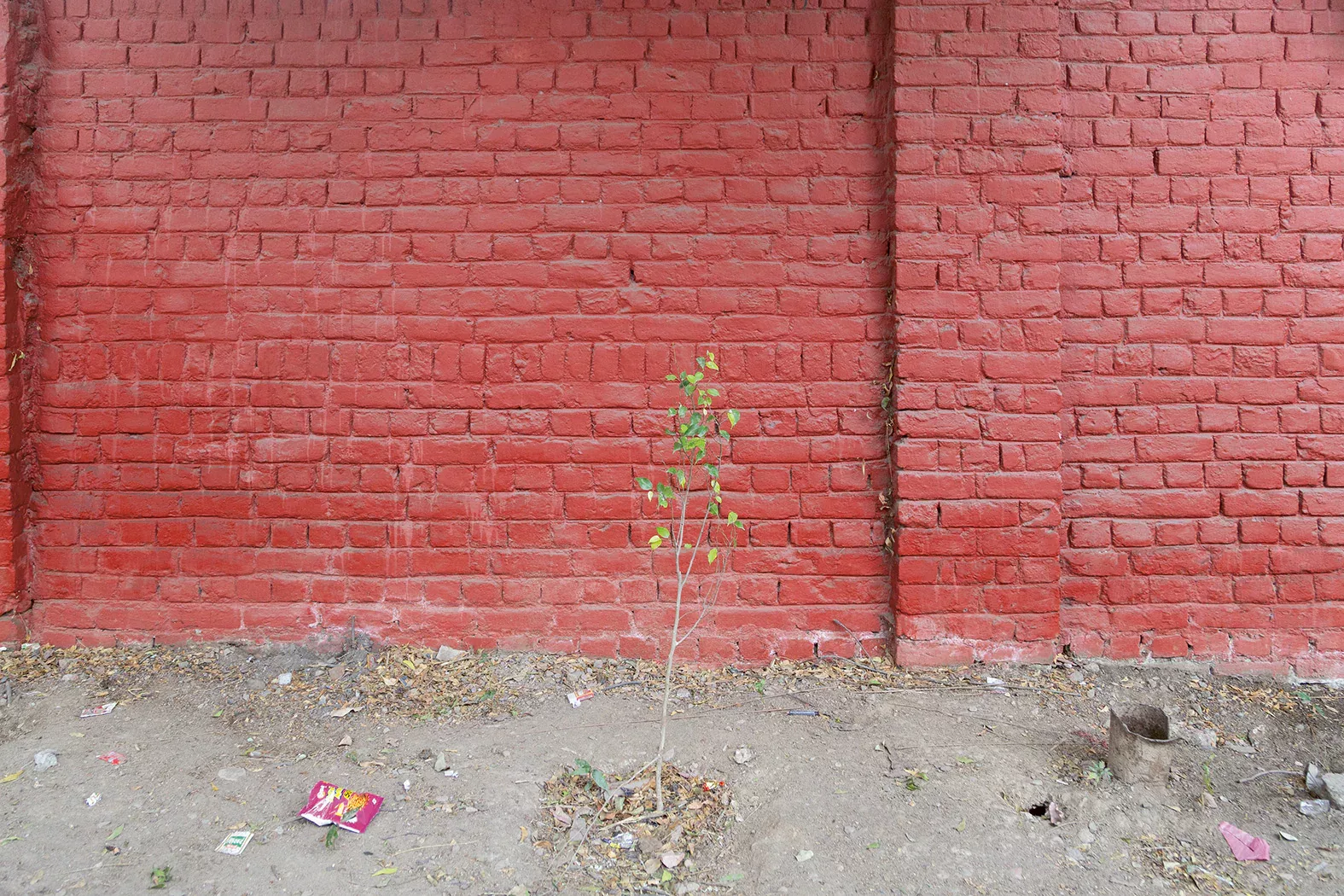KQL Weeds 3