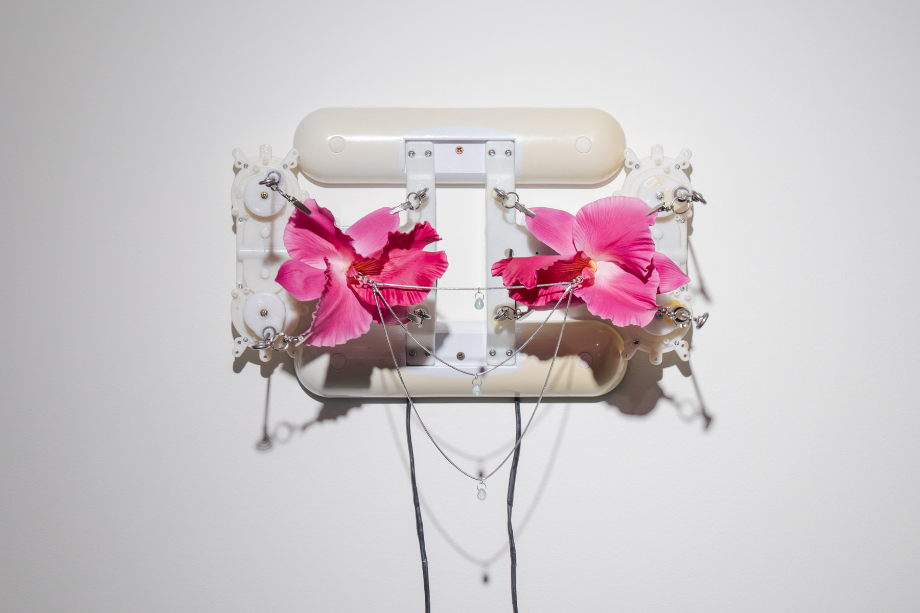 Rachel Youn 00034 WEB