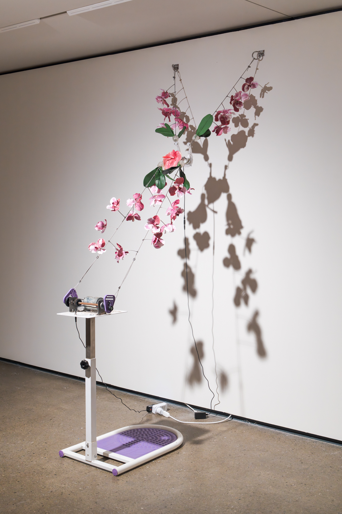 Rachel Youn 00052 web