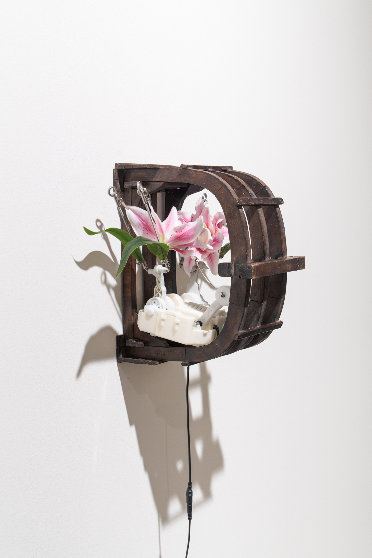 Rachel Youn 00072 web