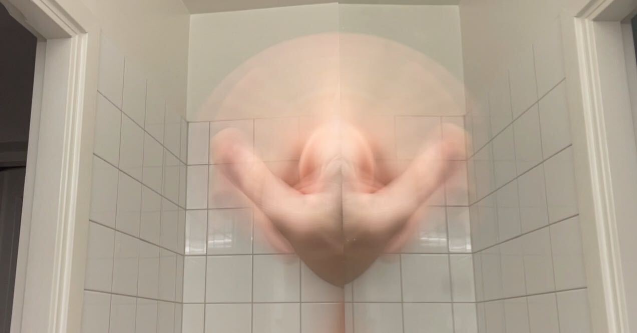 STACEY SACKS donkey normal times 1