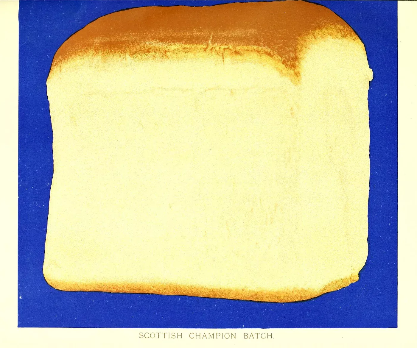 Simmons bread 9 jpg